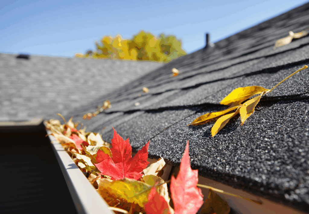 a roof with falling leaves on top of it in autumn